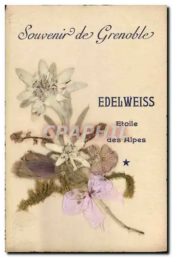 Cartes postales Fantaisie Fleurs sechees Edelweiss Etoile des Alpes
