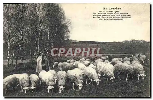 Ansichtskarte AK Folklore En Correze Moutons Berger