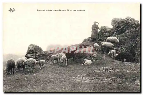 Cartes postales Folklore Les moutons Bergere