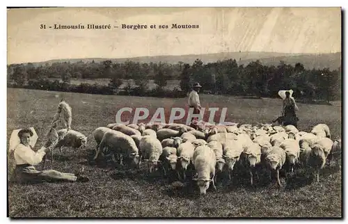 Ansichtskarte AK Folklore Limousin Bergere et ses moutons