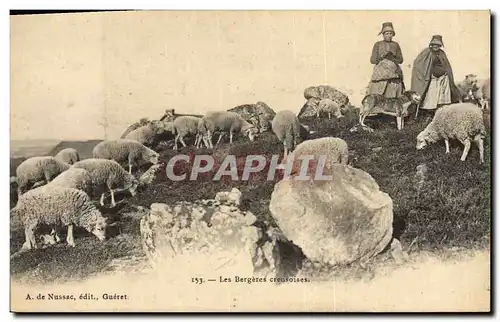 Ansichtskarte AK Folklore Les bergeres creusoises Moutons