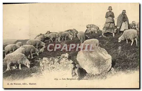 Cartes postales Folklore Les bergeres creusoises Moutons