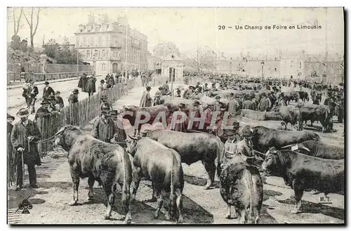 Ansichtskarte AK Folklore Un champ de foire en Limousin Vaches Marche TOP