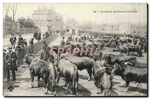 Cartes postales Folklore Un champ de foire en Limousin Vaches Marche TOP