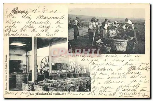 Cartes postales Folklore Vin Vendanges Champagne Epernay