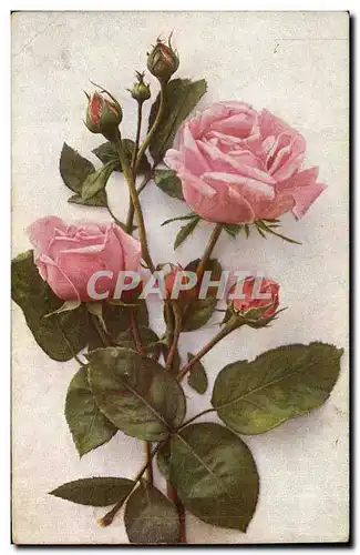 Cartes postales Fantaisie Fleurs