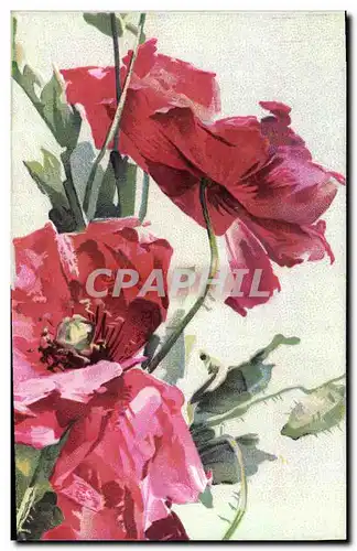 Cartes postales Fantaisie Fleurs