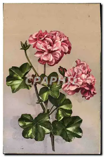 Cartes postales Fantaisie Fleurs