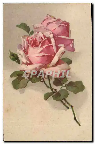 Cartes postales Fantaisie Fleurs