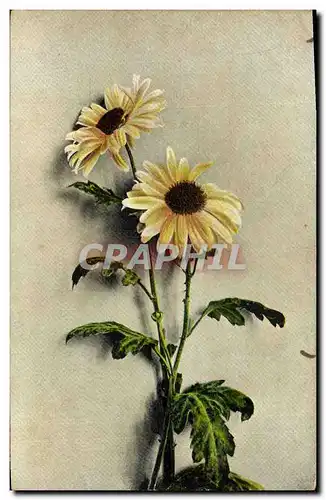 Cartes postales Fantaisie Fleurs