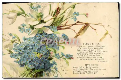 Cartes postales Fantaisie Fleurs Perce Neige Myosotis