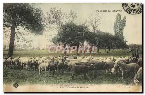 Ansichtskarte AK Folklore Troupeau de moutons Berger