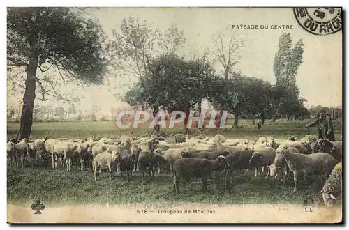 Cartes postales Folklore Troupeau de moutons Berger