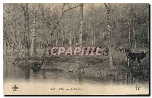 Cartes postales Folklore Paturage du centre Vaches