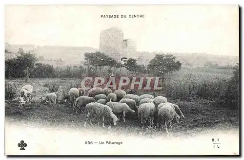 Ansichtskarte AK Folklore Paysage du Centre Un paturage Moutons Berger