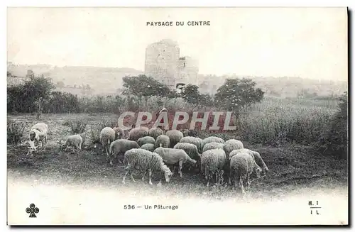 Cartes postales Folklore Paysage du Centre Un paturage Moutons Berger