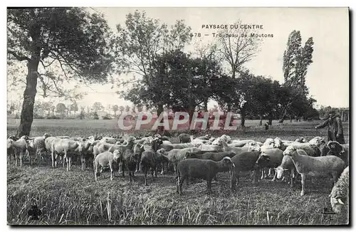 Cartes postales Folklore Paysage du Centre Troupeau de moutons