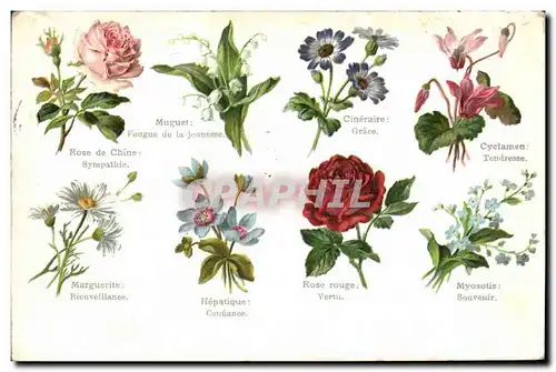 Cartes postales Fantaisie Fleurs