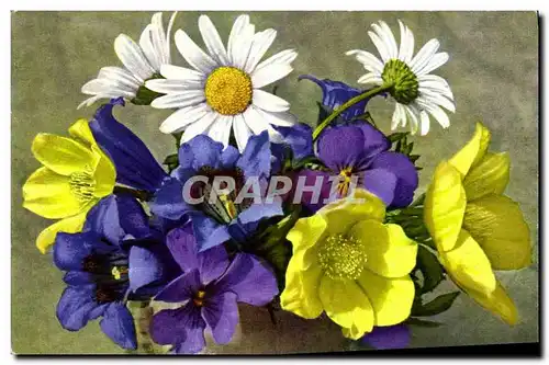 Cartes postales Fantaisie Fleurs Anemone alpina sulphurea