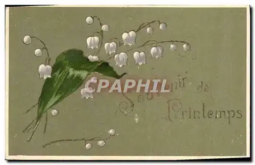 Cartes postales Fantaisie Fleurs Muguet Printemps