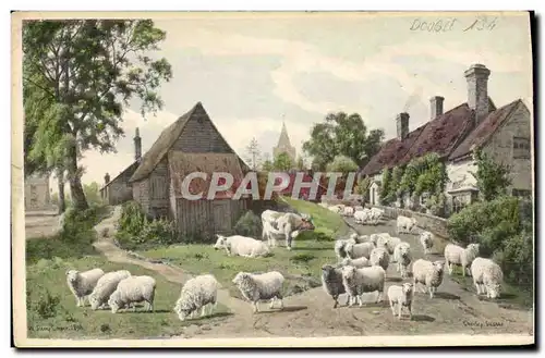 Vintage Postcard Fantaisie Illustrator Closes Cows Sheep