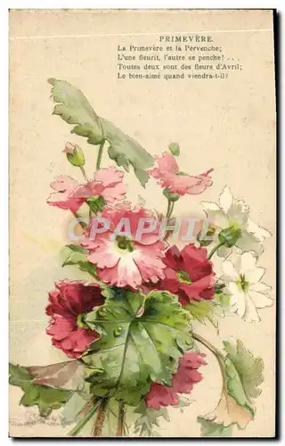 Cartes postales Fantaisie Fleurs Primevere