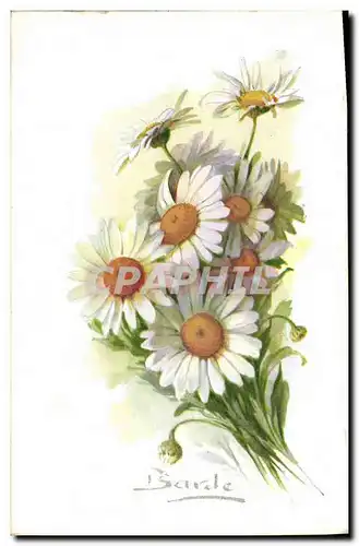 Cartes postales Fantaisie Fleurs