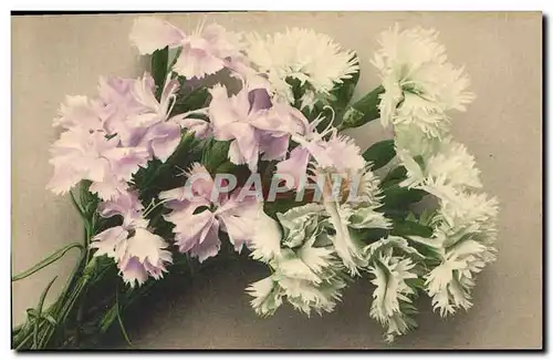 Cartes postales Fantaisie Fleurs