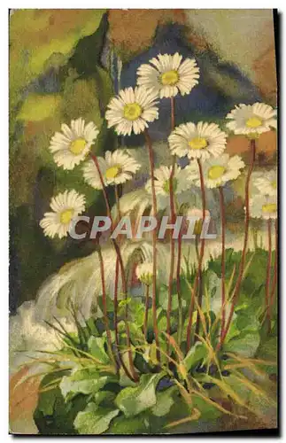 Cartes postales Fantaisie Fleurs