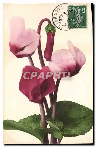 Ansichtskarte AK Fantaisie Fleurs