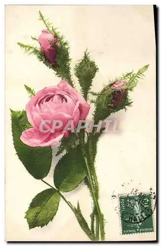 Cartes postales Fantaisie Fleurs