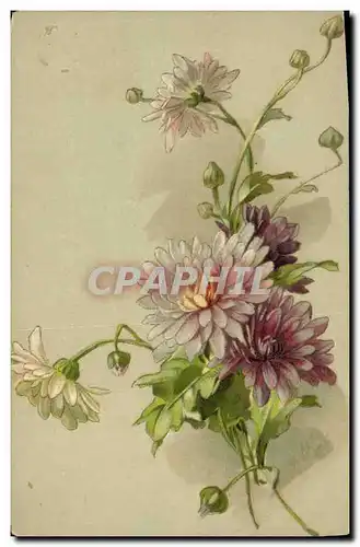Cartes postales Fantaisie Fleurs