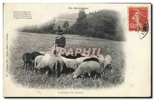 Ansichtskarte AK Folklore Auvergne La bergere aux champs Moutons TOP