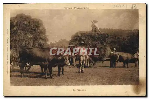 Ansichtskarte AK Folklore La Fenaison Auvergne