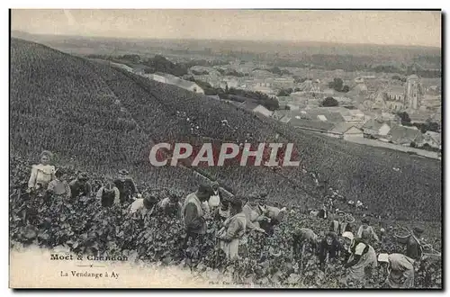 Cartes postales Folklore Vin Vendange Champagne Moet & Chandon La vendange a Ay