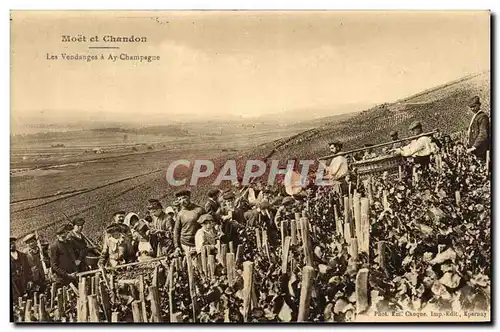 Cartes postales Folklore Vin Vendange Champagne Moet & Chandon Les vendanges a Ay en Champagne