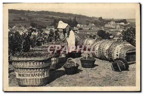 Cartes postales Folklore Vin Vendange Champagne Moet & Chandon Scene de vendange a le Mesnil sur Oger