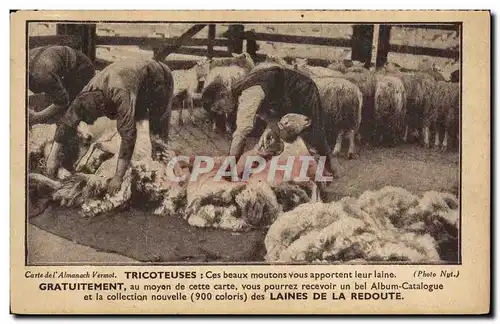 Cartes postales Publicite Tricoteuses Laines de la Redoute Moutons