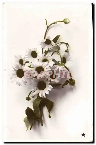 Ansichtskarte AK Fantaisie Fleurs
