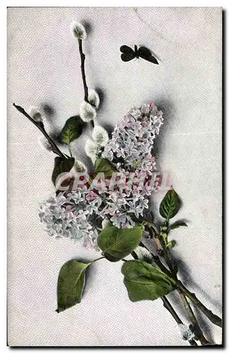 Ansichtskarte AK Fantaisie Fleurs