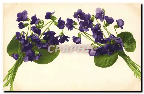 Ansichtskarte AK Fantaisie Fleurs