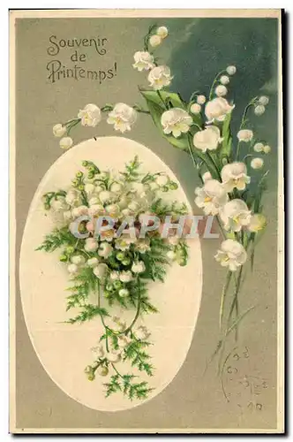 Cartes postales Fantaisie Fleurs Muguet