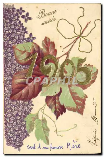 Cartes postales Fantaisie Fleurs Annee 1905