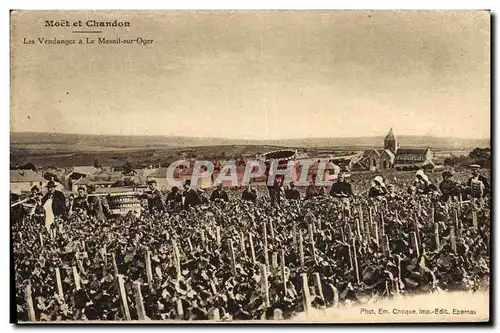 Cartes postales Folklore Vin Vignoble Vendanges Champagne Moet et Chandon Les vendanges a le Mesnil sur Oger