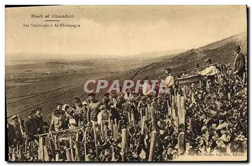 Cartes postales Folklore Vin Vignoble Vendanges Champagne Moet et Chandon Les vendanges a Ay Champagne