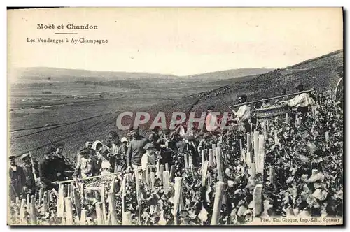 Ansichtskarte AK Folklore Vin Vignoble Vendanges Champagne Moet et Chandon Les vendanges a Ay Champagne