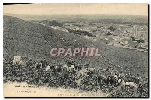 Cartes postales Folklore Vin Vignoble Vendanges Champagne Moet et Chandon La vendange a Ay