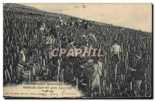 Ansichtskarte AK Folklore Vin Vignoble Vendanges Champagne Montebello Mareuil sur Ay pres Epernay