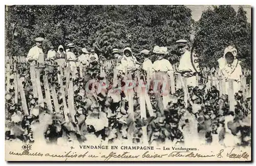 Ansichtskarte AK Folklore Vin Vignoble Vendanges Champagne Les vendangeurs TOP