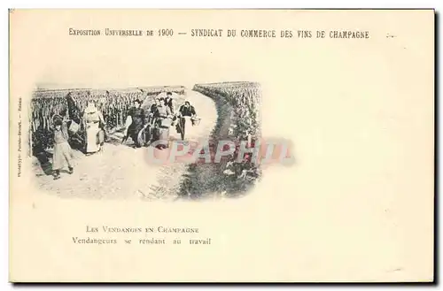 Cartes postales Folklore Vin Vignoble Vendanges Champagne Exposition universelle de 1900 Vendangeurs se rendant